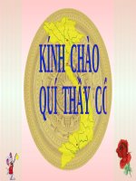 Bài 29. Chính sách khai thác thuộc địa của thực dân Pháp và những chuyển biến về kinh tế, xã hội ở Việt Nam