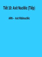 Bài 11. Axit nuclêic (tiếp theo)