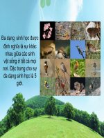 Bài 6. Thực hành: Đa dạng thế giới sinh vật