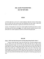 Phân tích chiến lược đại dương xanh của hãng hàng không pacific airline 