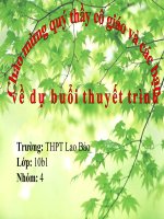 Bài 8. Ôn tập lịch sử thế giới cận đại