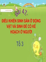 Bài 47. Điều khiển sinh sản ở động vật và sinh đẻ có kế hoạch ở người