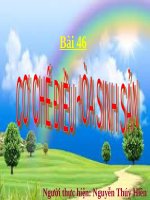 Bài 46. Cơ chế điều hòa sinh sản