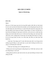 Chiến lược đại dương xanh của tập đoàn japan tobacco international 