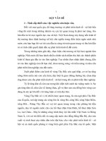 Thực trạng và một số giải pháp nhằm thúc đẩy hoạt động đầu tư phát triển vào lĩnh vực lâm nghiệp trên địa bàn 4 tỉnh tây bắc bộ việt nam 