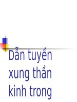 Bài 29. Dẫn truyền xung thần kinh trong cung phản xạ