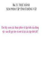 Bài 33. Thực hành: Xem phim về một số tập tính ở động vật