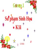 so sanh thi hien tai don va hien tai tiep dien