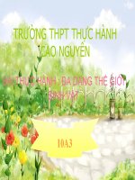 Bài 6. Thực hành: Đa dạng thế giới sinh vật