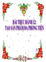 Bài thực hành 12. Tạo sản phẩm đa phương tiện