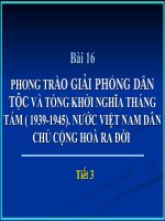 Bài 16. Phong trào giải phóng dân tộc và Tổng khởi nghĩa tháng Tám (1939 - 1945). Nước Việt Nam Dân chủ Cộng hoà ra đời