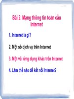 Bài 2. Mạng thông tin toàn cầu Internet