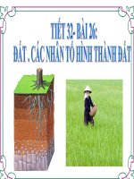 Bài 26. Đất. Các nhân tố hình thành đất