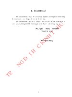 Nghiên cứu chuỗi giá trị lợn thịt ở huyện lệ thủy, tỉnh quảng bình 