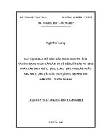 Xây dựng các mô hình cấu trúc, sinh trưởng và hình dạng thân cây làm cơ sở đề xuất các phương pháp xác định trữ lượng, sản lượng cho lâm phần keo tai tượng (acacia mangium ) tại khu hàm yên   tuyên quang 