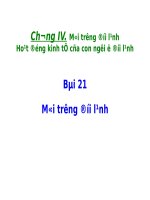 Bài 21. Môi trường đới lạnh