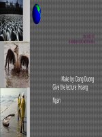 Bài 17. Ô nhiễm môi trường ở đới ôn hòa