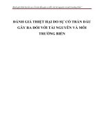 ĐÁNH GIÁ THIỆT HẠI DO SỰ CỐ TRÀN DẦU GÂY RA