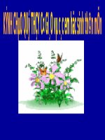 Bài 14. Phong trào dân tộc dân chủ ở Việt Nam từ năm 1919 đến năm 1925