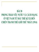 Bài 38. Phong trào yêu nước và cách mạng ở Việt Nam từ đầu thế kỉ XX đến Chiến tranh thế giới thứ nhất (1914)