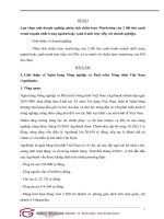 Lựa chọn một doanh nghiệp, phân tích chiến lược marketing của 2 đối thủ cạnh tranh 