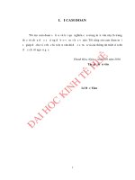 Giải pháp nâng cao hiệu quả sử dụng vốn kinh doanh ở công ty cổ phần thương mại miền núi thanh hóa 