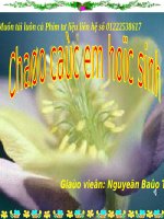 Bài 13. Những chuyển biến mới về kinh tế và xã hội ở Việt Nam sau Chiến tranh thế giới thứ nhất