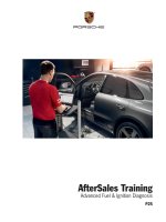 Porsche training p25 advanced fuel and ignition diagnosis 