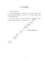 Hoàn thiện công tác thanh tra hành chính trong lĩnh vực kinh tế   xã hội tại thanh tra tỉnh quảng trị 