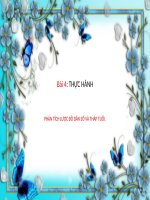 Bài 4. Thực hành: Phân tích lược đồ dân số và tháp tuổi
