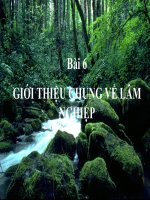 công nghe 7 mô hinh trường học moi