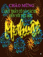 Bài 12. Sơ lược về mĩ thuật các dân tộc ít người ở Việt Nam