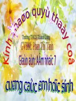 Tiết 31. OBH: Tiếng ve gọi hè. TĐN: TĐN số 9