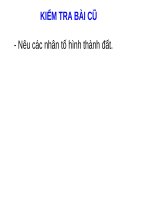 Bài 27. Lớp vỏ sinh vật. Các nhân tố ảnh hưởng đến sự phân bố thực, động vật trên Trái Đất