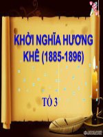 Bài 21. Phong trào yêu nước chống Pháp của nhân dân Việt Nam trong những năm cuối thế kỉ XIX