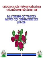 Bài 11. Tình hình các nước tư bản giữa hai cuộc chiến tranh thế giới (1918 -1939)