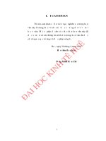 ĐÁNH GIÁ sự hài LÒNG với CÔNG VIỆC của CÔNG NHÂN TRỰC TIẾP sản XUẤT tại CÔNG TY TNHH SHAIYO AA VIỆT NAM 