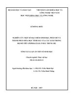 Nghiên cứu một số đặc điểm sinh học, phân bố và thành phần hóa học tinh dầu của các loài trong họ hồ tiêu (piperaceae) ở bắc trung bộ tt