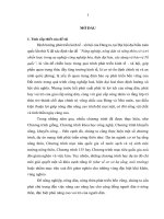 Giải pháp xây dựng nông thôn mới tại xã đông phương yên, huyện chương mỹ   thành phố hà nội 