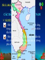 Bài 12. Sơ lược về mĩ thuật các dân tộc ít người ở Việt Nam