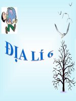 Bài 8. Sự chuyển động của Trái Đất quanh Mặt Trời