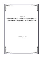 ĐẶC ĐIỂM VÀ GIẢI PHÁP PHÁT TRIỂN BỀN VỮNG KHU VỰC CẢNG BIỂN CẦN GIỜ