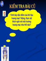 Bài 20. Hoạt động kinh tế của con người ở hoang mạc