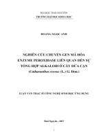 Nghiên cứu chuyển gen mã hóa enzyme peroxidase liên quan đến sự tổng hợp alkaloid ở cây dừa cạn (catharanthus roseus (l ) g  don ) 
