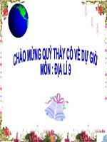 Bài 25. Thực hành: Sự chuyển động của các dòng biển trong đại dương