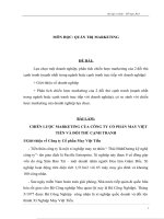 CHIẾN lược MARKETING của CÔNG TY cổ PHẦN MAY VIỆT TIẾN và đối THỦ CẠNH TRANH