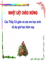 Bài 41. Đồ dùng loại điện - nhiệt: Bàn là điện