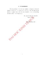 Nâng cao chất lượng dịch vụ tín dụng cho vay khách hàng cá nhân tại BIDV thanh hóa 