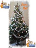 Bài 19. Bước phát triển của cuộc kháng chiến toàn quốc chống thực dân Pháp (1951 - 1953)