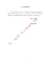 Hoàn thiện công tác kiểm soát thu chi nội bộ tại trường đại học nông lâm   đại học huế 